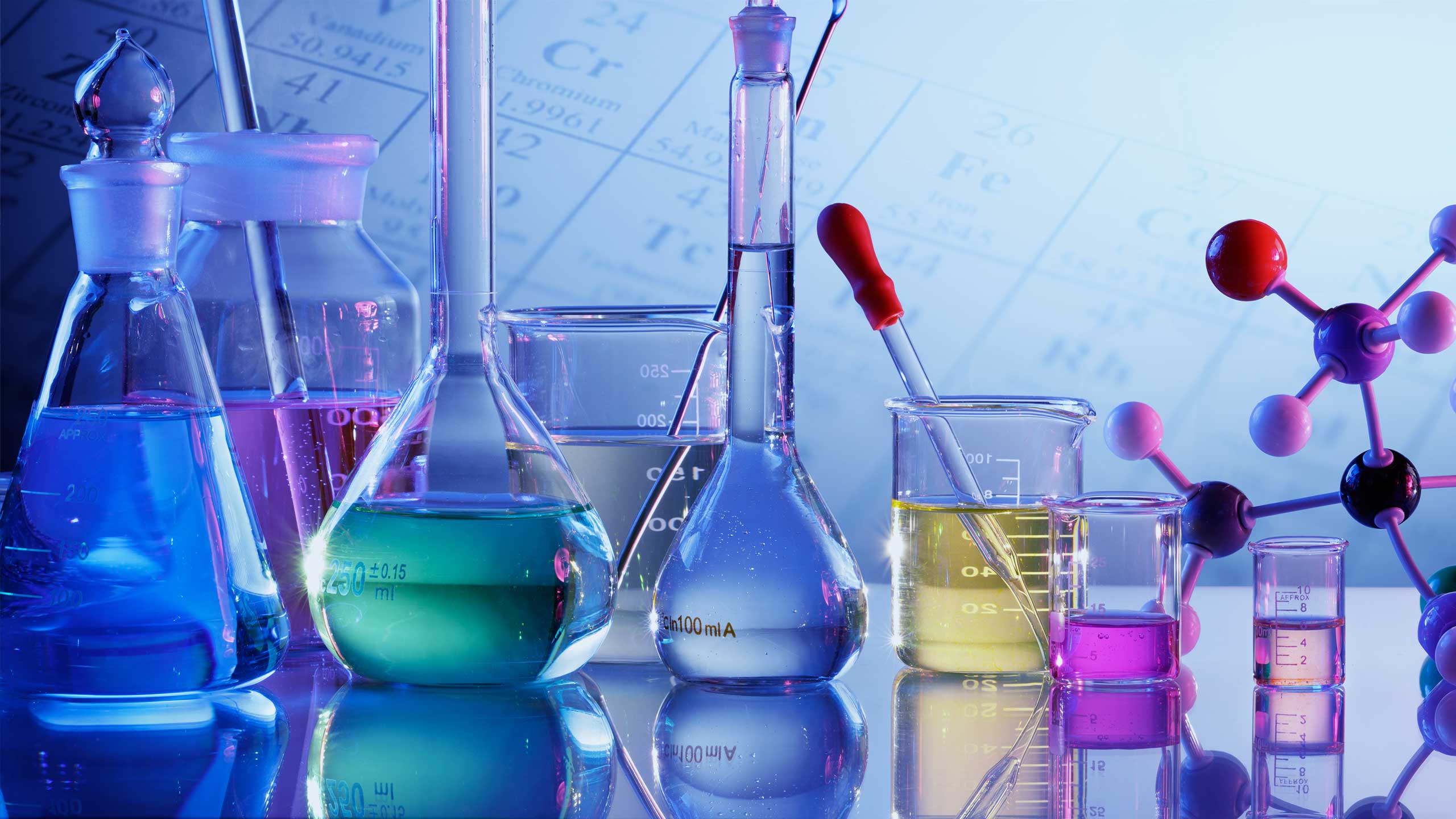 About DLS Appointments